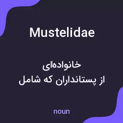 معنی mustelidae به فارسی معنی mustelidae به فارسی