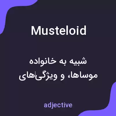 معنی musteloid به فارسی معنی musteloid به فارسی