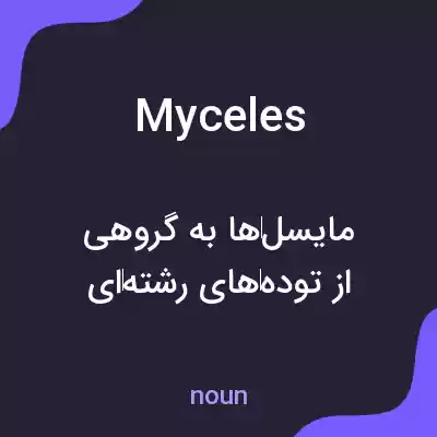 معنی myceles به فارسی معنی myceles به فارسی