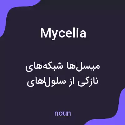 معنی mycelia به فارسی معنی mycelia به فارسی