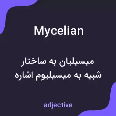 معنی mycelian به فارسی معنی mycelian به فارسی