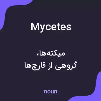 معنی mycetes به فارسی معنی mycetes به فارسی