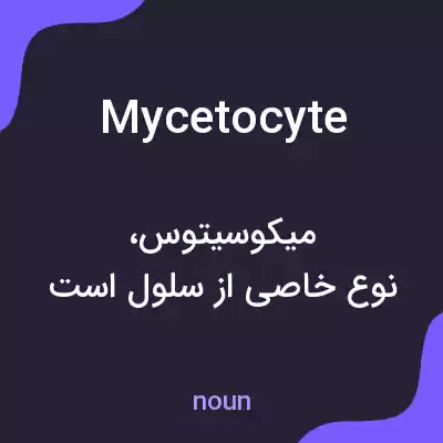 معنی mycetocyte به فارسی معنی mycetocyte به فارسی