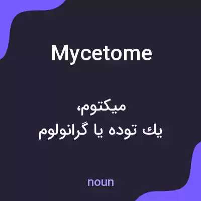 معنی mycetome به فارسی معنی mycetome به فارسی
