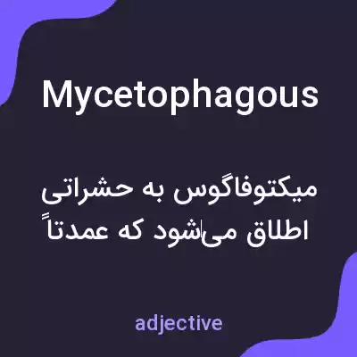 معنی mycetophagous به فارسی معنی mycetophagous به فارسی