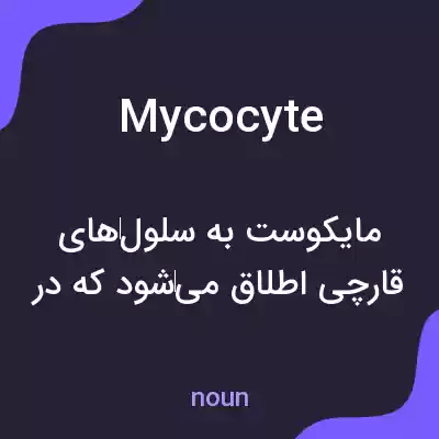 معنی mycocyte به فارسی معنی mycocyte به فارسی
