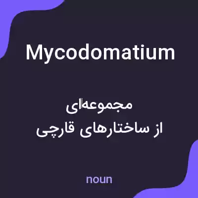 معنی mycodomatium به فارسی معنی mycodomatium به فارسی