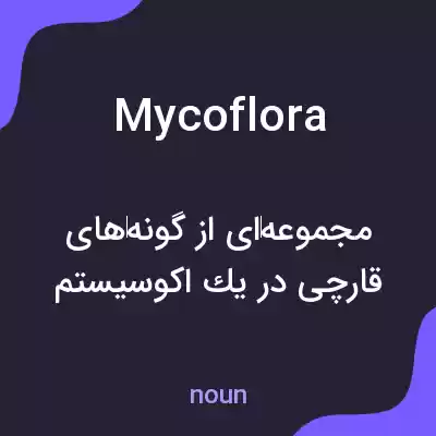 معنی mycoflora به فارسی معنی mycoflora به فارسی