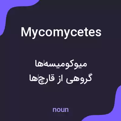 معنی mycomycetes به فارسی معنی mycomycetes به فارسی