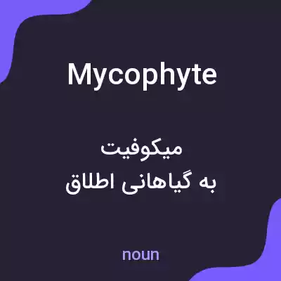 معنی mycophyte به فارسی معنی mycophyte به فارسی