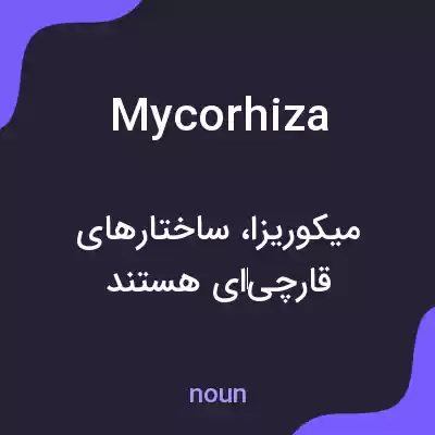 معنی mycorhiza به فارسی معنی mycorhiza به فارسی
