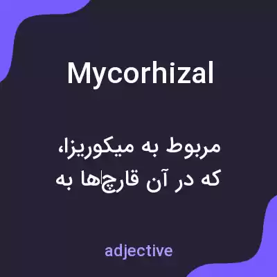 معنی mycorhizal به فارسی معنی mycorhizal به فارسی