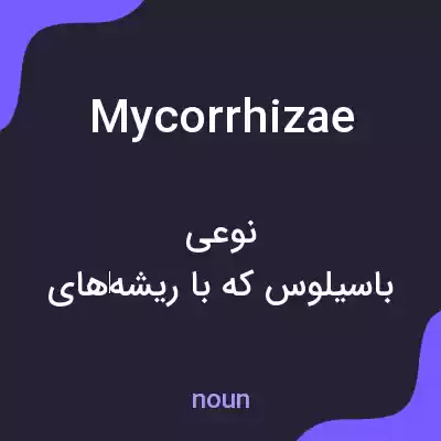 معنی mycorrhizae به فارسی معنی mycorrhizae به فارسی