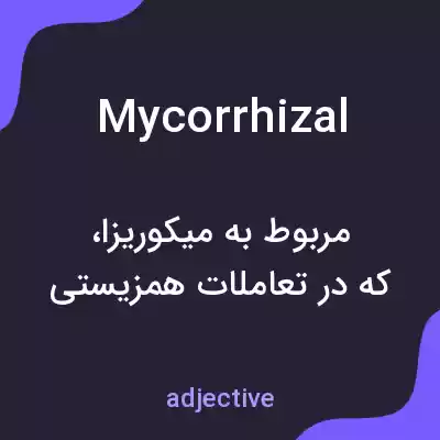 معنی mycorrhizal به فارسی معنی mycorrhizal به فارسی