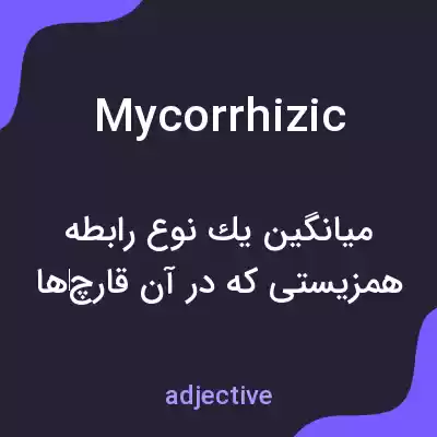 معنی mycorrhizic به فارسی معنی mycorrhizic به فارسی