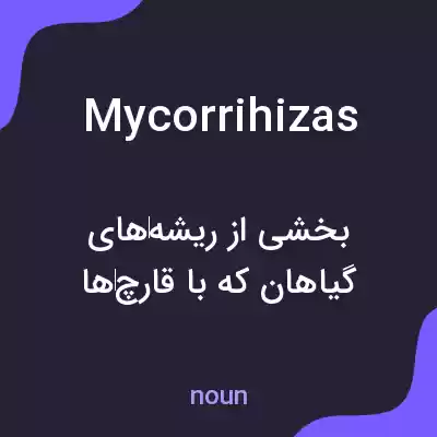 معنی mycorrihizas به فارسی معنی mycorrihizas به فارسی