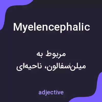 معنی myelencephalic به فارسی معنی myelencephalic به فارسی