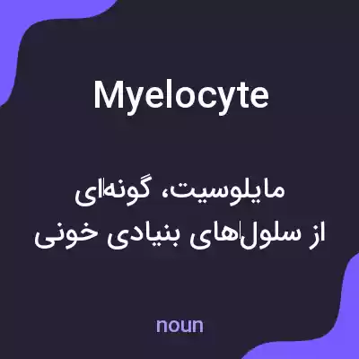معنی myelocyte به فارسی معنی myelocyte به فارسی