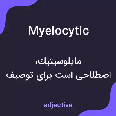معنی myelocytic به فارسی معنی myelocytic به فارسی
