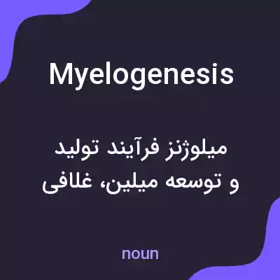 معنی myelogenesis به فارسی