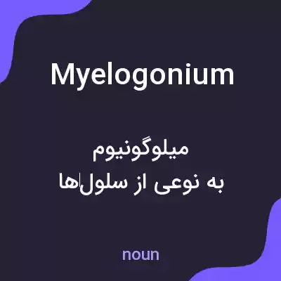 معنی myelogonium به فارسی