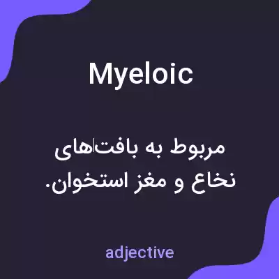 معنی myeloic به فارسی
