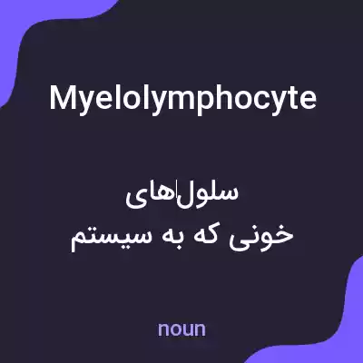 معنی myelolymphocyte به فارسی