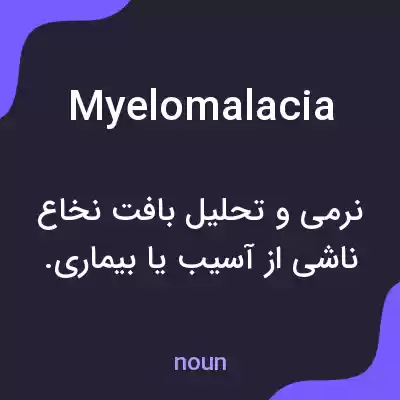 معنی myelomalacia به فارسی معنی myelomalacia به فارسی
