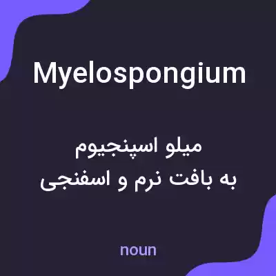 معنی myelospongium به فارسی معنی myelospongium به فارسی