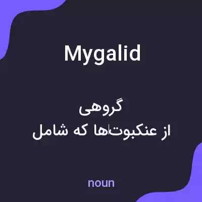 معنی mygalid به فارسی معنی mygalid به فارسی