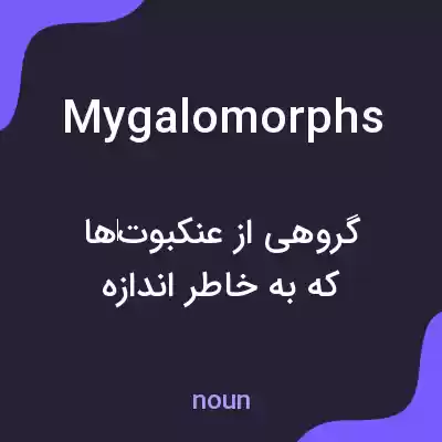 معنی mygalomorphs به فارسی معنی mygalomorphs به فارسی