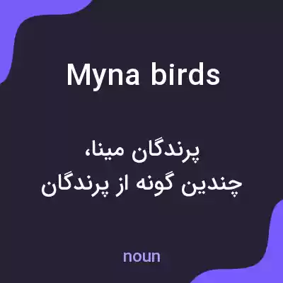 معنی myna birds به فارسی معنی myna birds به فارسی