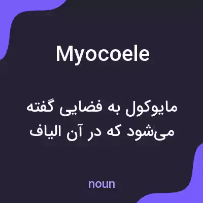 معنی myocoele به فارسی
