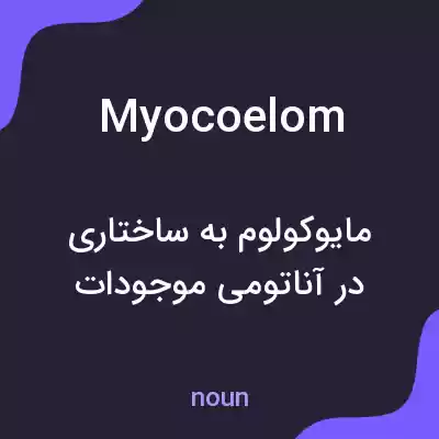 معنی myocoelom به فارسی معنی myocoelom به فارسی