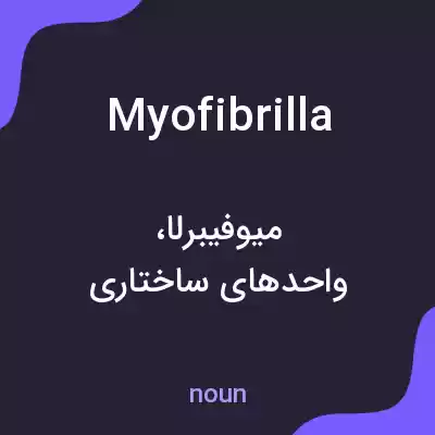 معنی myofibrilla به فارسی معنی myofibrilla به فارسی