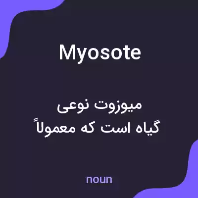معنی myosote به فارسی معنی myosote به فارسی