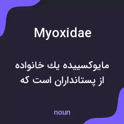 معنی myoxidae به فارسی معنی myoxidae به فارسی