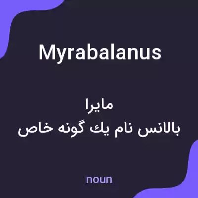 معنی myrabalanus به فارسی معنی myrabalanus به فارسی