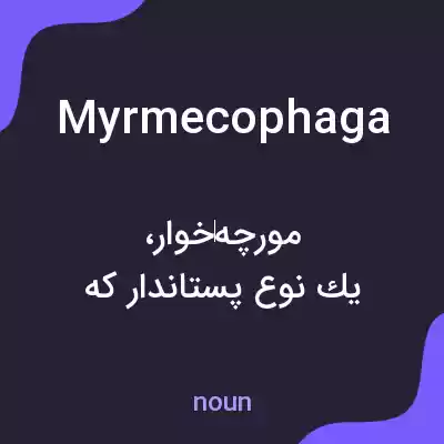 معنی myrmecophaga به فارسی معنی myrmecophaga به فارسی