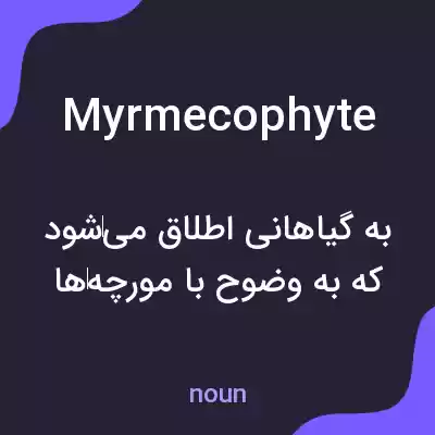 معنی myrmecophyte به فارسی معنی myrmecophyte به فارسی