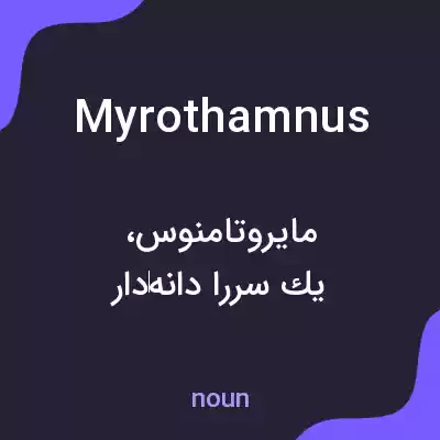 معنی myrothamnus به فارسی معنی myrothamnus به فارسی