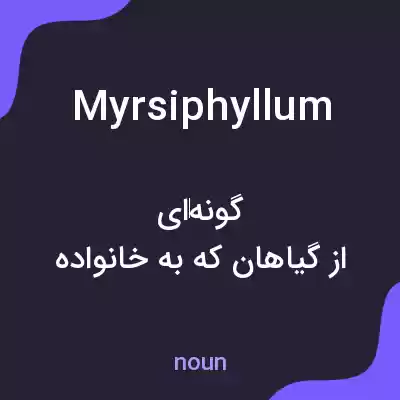 معنی myrsiphyllum به فارسی معنی myrsiphyllum به فارسی