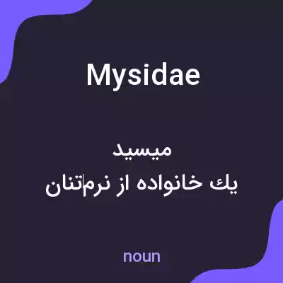 معنی mysidae به فارسی معنی mysidae به فارسی