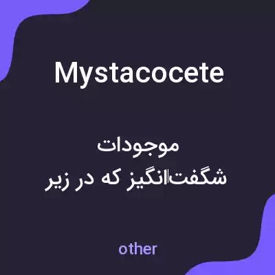 معنی mystacocete به فارسی معنی mystacocete به فارسی