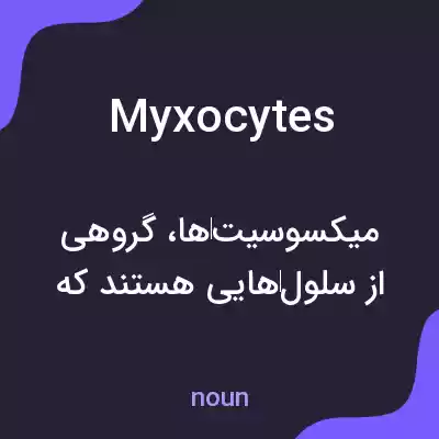 معنی myxocytes به فارسی معنی myxocytes به فارسی
