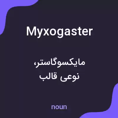 معنی myxogaster به فارسی معنی myxogaster به فارسی