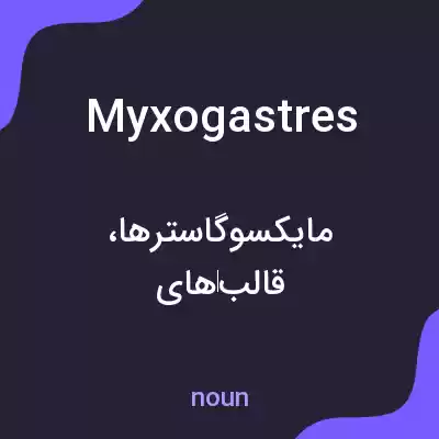 معنی myxogastres به فارسی معنی myxogastres به فارسی