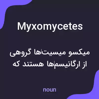 معنی myxomycetes به فارسی