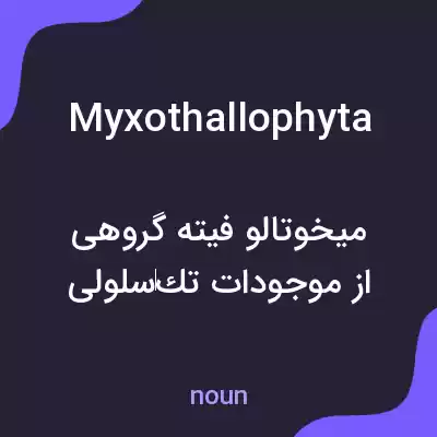 معنی myxothallophyta به فارسی معنی myxothallophyta به فارسی