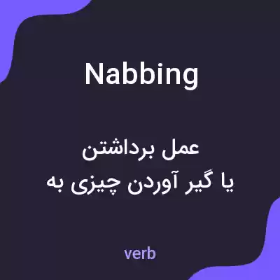 معنی nabbing به فارسی